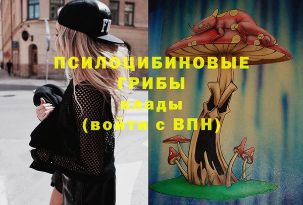 соль курить ск Михайловск