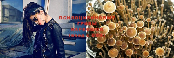 меф Рославль