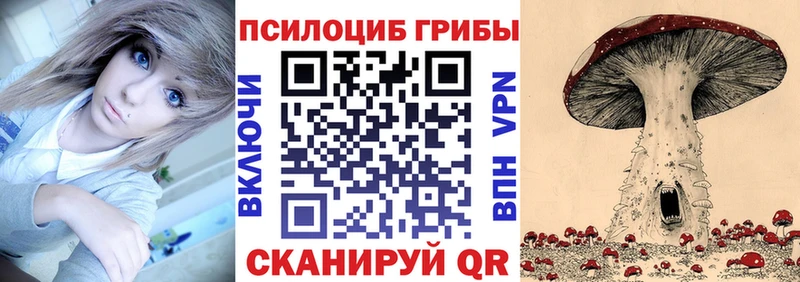 Галлюциногенные грибы Psilocybe  где купить наркоту  Сортавала 